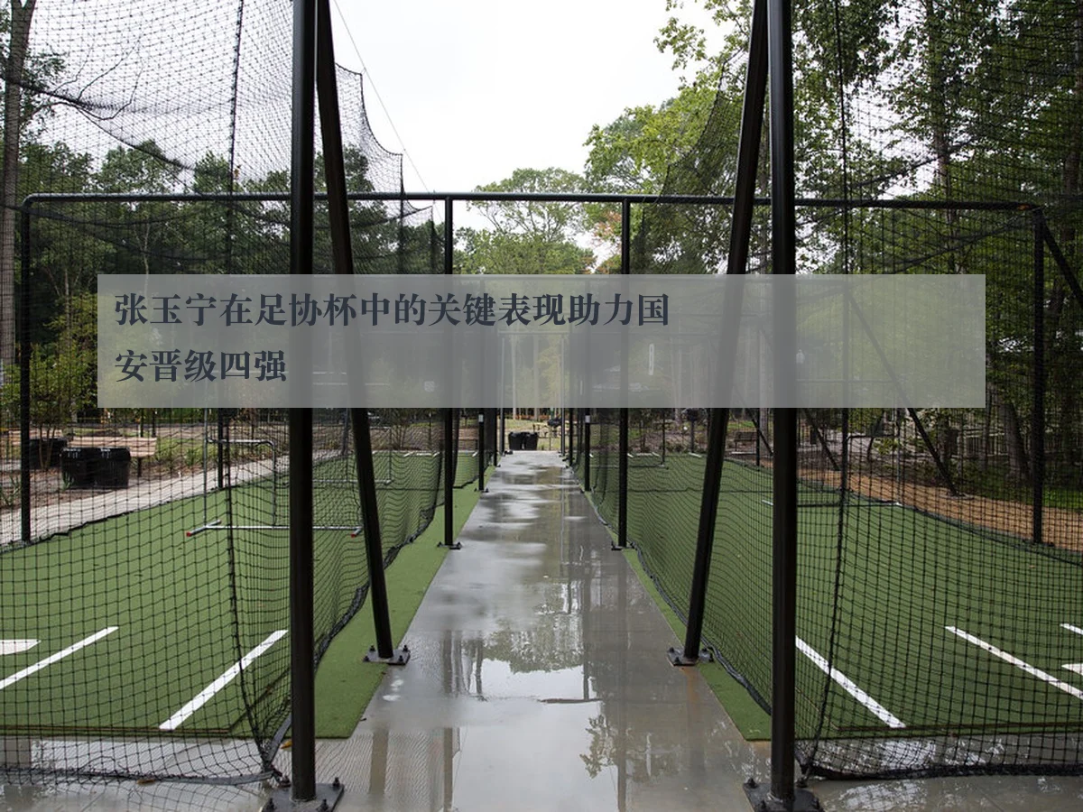 张玉宁在足协杯中的关键表现助力国安晋级四强